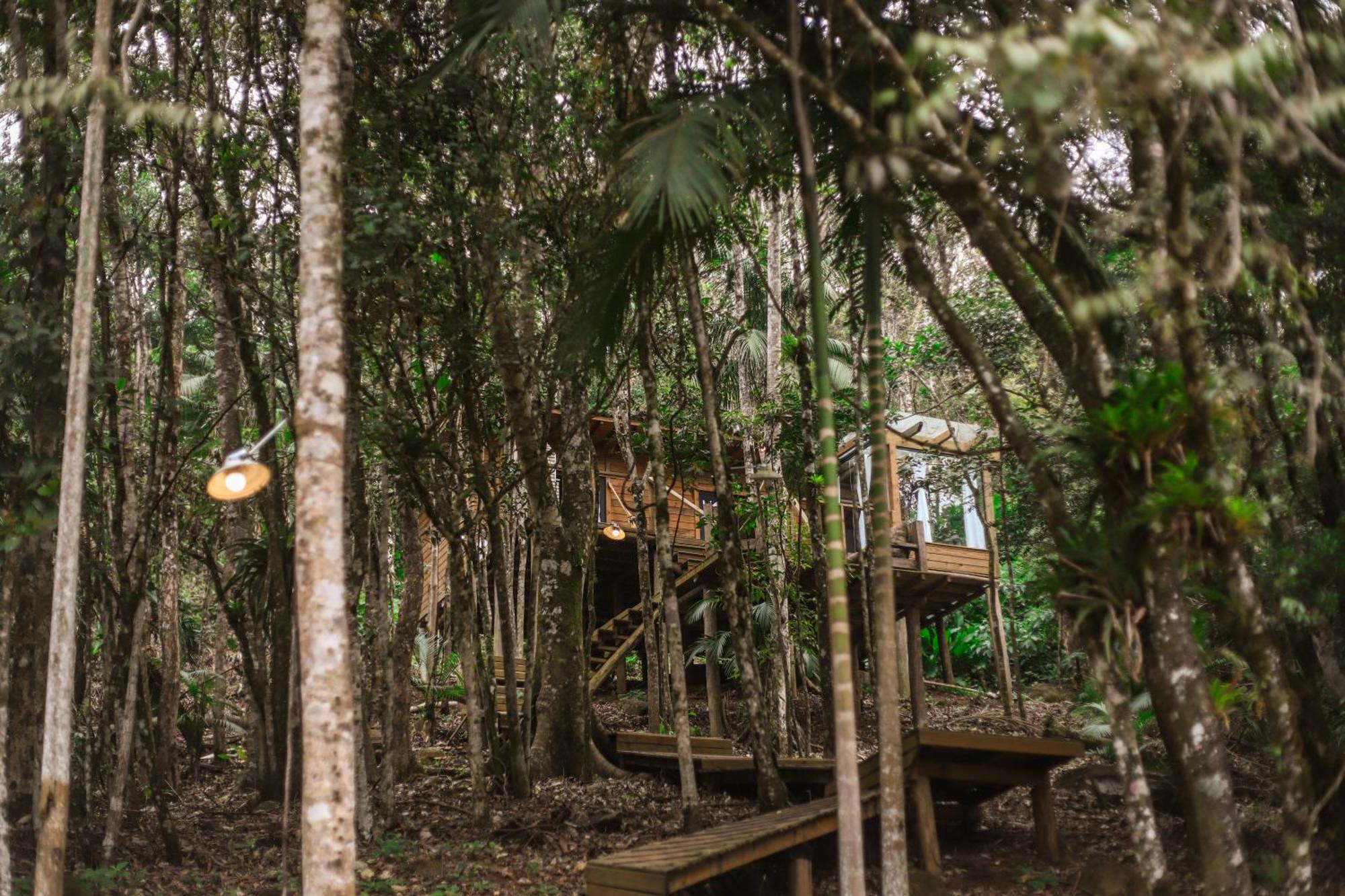 Chale Da Arvore, Vivenda Serra Velha, Chales De Montanha Timbe do Sul Exterior foto