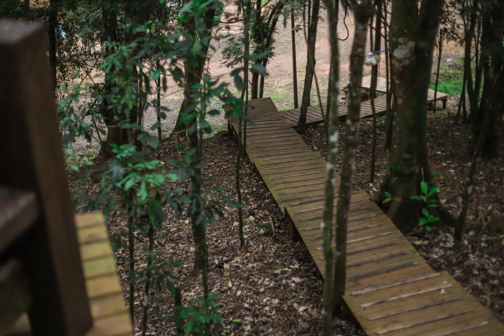 Chale Da Arvore, Vivenda Serra Velha, Chales De Montanha Timbe do Sul Exterior foto